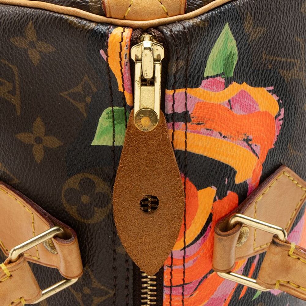 Louis Vuitton Limited Edition Monogram Canvas Roses Speedy 30 Satchel - Picture 9 of 15
